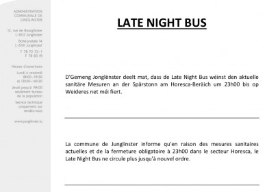 Late Night Bus Junglinster