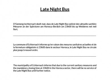 Late Night Bus Echternach